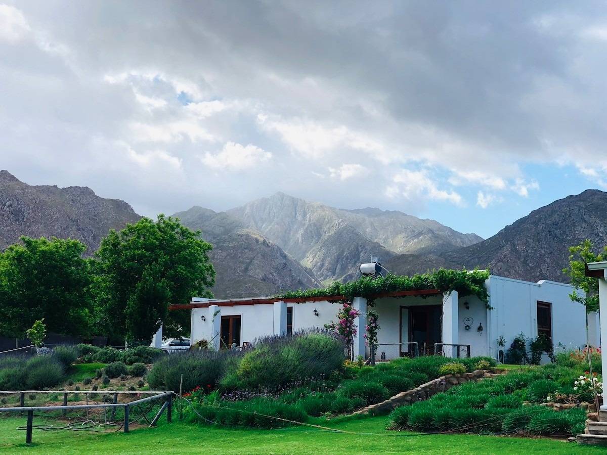 Alpaca Inn below the Klein Karoo mountains